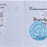 Диплом - Ерофеев Виктор Валерьевич