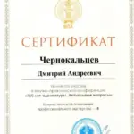 Сертификат - Чернокальцев Дмитрий Андреевич