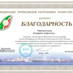 Благодарность ЧДА Казань - Чернокальцев Дмитрий Андреевич