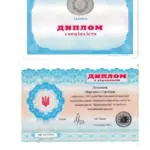 Диплом: ХНУВД, 2005 — Литвинюк М.С.