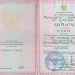 Диплом - Дрюков Константин Борисович