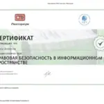 Сертификат RSUH - Дивлекеев Никита Сергеевич