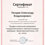 Сертификат - Гвоздев Александр Владимирович