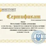 Сертификат - Муратова Эллина Артемовна