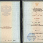 Диплом - Наумов Виталий Николаевич