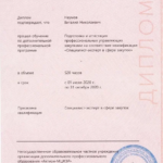 Диплом - Наумов Виталий Николаевич