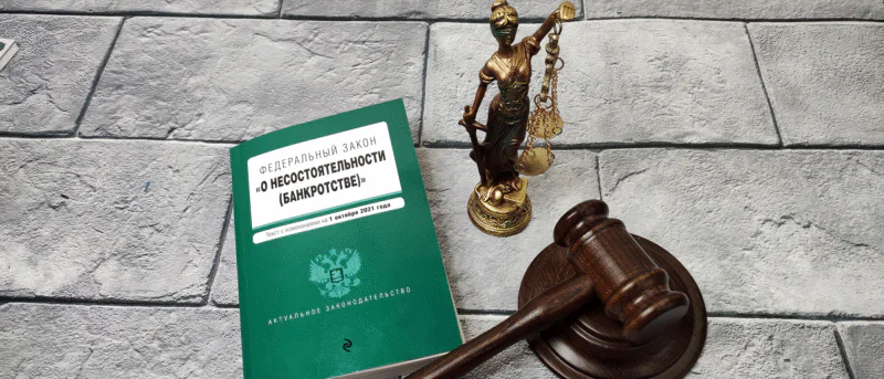 Адвокат Киселёв Игорь Евгеньевич объясняет: И ещё раз о банкротстве граждан (физических лиц)