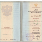 Диплом: Академия Федеральной службы безопасности Российской Федерации, 2004 — Лекомцев В.С.