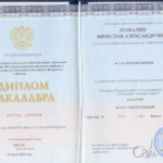 Диплом: Российская академия народного хозяйства и народного и государственной службы при Президенте Российской Федерации, 2025 — Шабалин В.А.