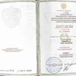 Диплом СГУТиК Давыдова А. - Давыдова Анна Давидовна