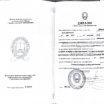 Теория и методика предодавания РАНХиГС - Давыдова Анна Давидовна