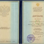 Диплом ВГУ Мокшина - Мокшина Виктория Александровна