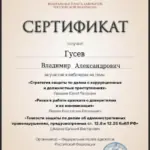 Сертификат - Гусев Владимир Александрович