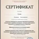 Сертификат - Гусев Владимир Александрович