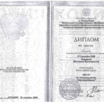 Диплом: Сибирская академия государственной службы, 2018 — Клименко Д.В.