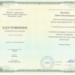 Диплом: Ведение гражданских дел в судах, 2022 — Дробышев Д.В.