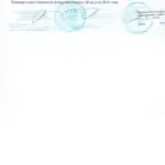 Решение - Арцер Вадим Владимирович