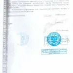 Решение и определение - Арцер Вадим Владимирович