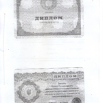Диплом: Национальный университет Внутренних дел, 2006 — Дмитриев А.В.