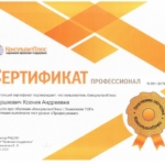 Сертификат 2 - Гершкович Ксения Андреевна