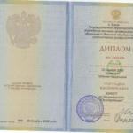 Диплом: Филиал Вятского государственного гуманитарного университета в г. Ижевске, 2009 — Мельникова Т.В.