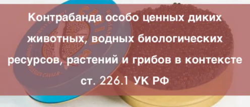 Адвокат по контрабанде особо ценных диких животных, биологических ресурсов по статье 226.1 УК РФ
