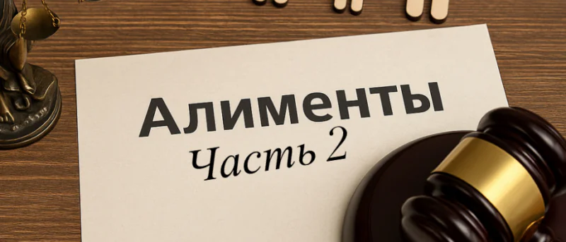 Юрист Николаева Юлия Валериевна объясняет: Взыскание алиментов в долевом соотношении в районном суде