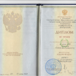 Диплом: Ульяновский государственный университет, 2009 — Аппанов С.В.