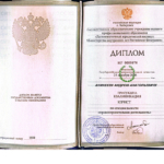 Диплом - Аникеев Андрей Анатольевич