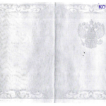 Диплом: Новосибирский гуманитарный институт, 2010 — Голдобина Е.Г.