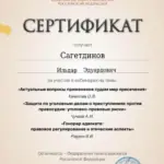 Сертификат 5 - Сагетдинов Ильдар Эдуардович