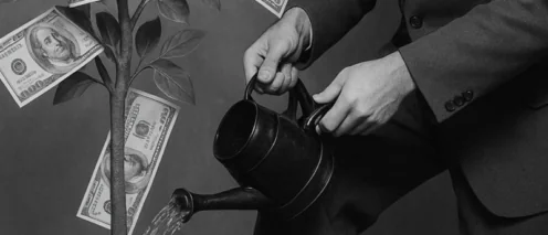 Сама виновата