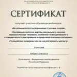 диплом 2 - Конышев Андрей Олегович