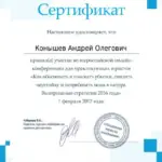 диплом 4 - Конышев Андрей Олегович