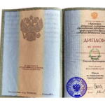Диплом: Сибирский федеральный университет, 2007 — Немков Н.В.