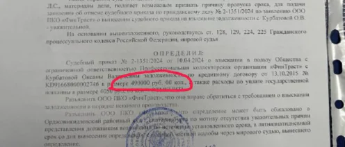 Я успешно отменил судебный приказ на 490 тысяч, минус долг у клиента