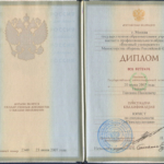 Диплом: Военный университет, 2007 — Пинаев Е.П.