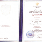 Диплом КГУ - Хомич Дмитрий Николаевич