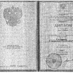 Диплом Солнцева С.Е. - Солнцев Станислав Евгеньевич