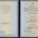 Диплом: Хакасский государственный университет им. Н.Ф. Катанова, 2003 — Хромцова А.А.