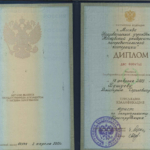 Диплом Бушуев Д.С. - Бушуев Дмитрий Сергеевич