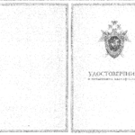Диплом: Расследование преступлений против личности и преступлений, совершенных в отношении несовершеннолетних или совершенных несовершеннолетними, 2020 — Генералов М.А.