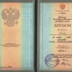 Диплом: Томский государственный университет, 1999 — Маласаева Е.В.