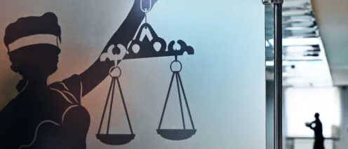 Адвокат по статье 322.1 УК РФ Организация незаконной миграции | адвокат по уголовным делам в Москве