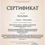 сертификат Качалкин 28.10.25 - Качалкин Сергей Николаевич