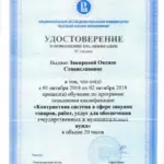 44-ФЗ 2018 - Закирова Оксана Станиславовна