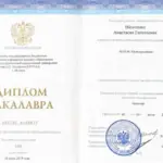 Диплом - Рогалева Анастасия Евгеньевна