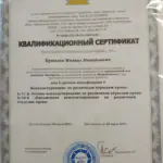 Сертификат - Ермилов Михаил Михайлович