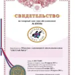 Свидетельство 6 - Ольха Алина Александровна