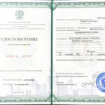 Диплом: Legal Design - теория и практика быстрое погружение, 2022 — Арболишвили Т.Г.